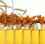 Applicazione capelli olio di olivello spinoso