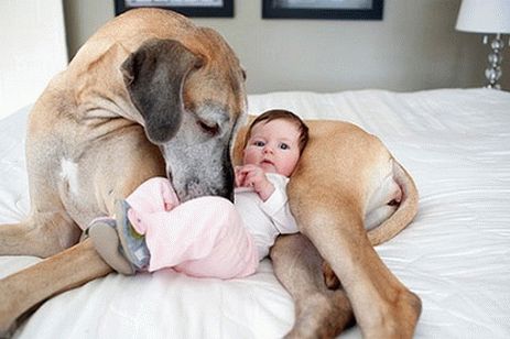 Cane e bambino