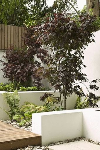 Giardino in stile minimalista