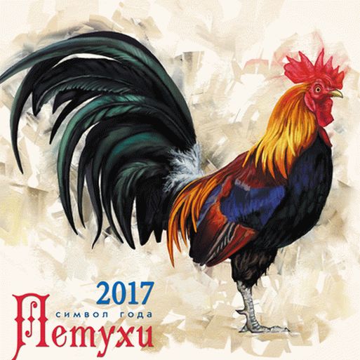 Gallo - un simbolo dell'anno 2017